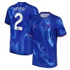 Maillot de Supporter Chelsea Disasi 2 Domicile 2024-25 Pour Homme